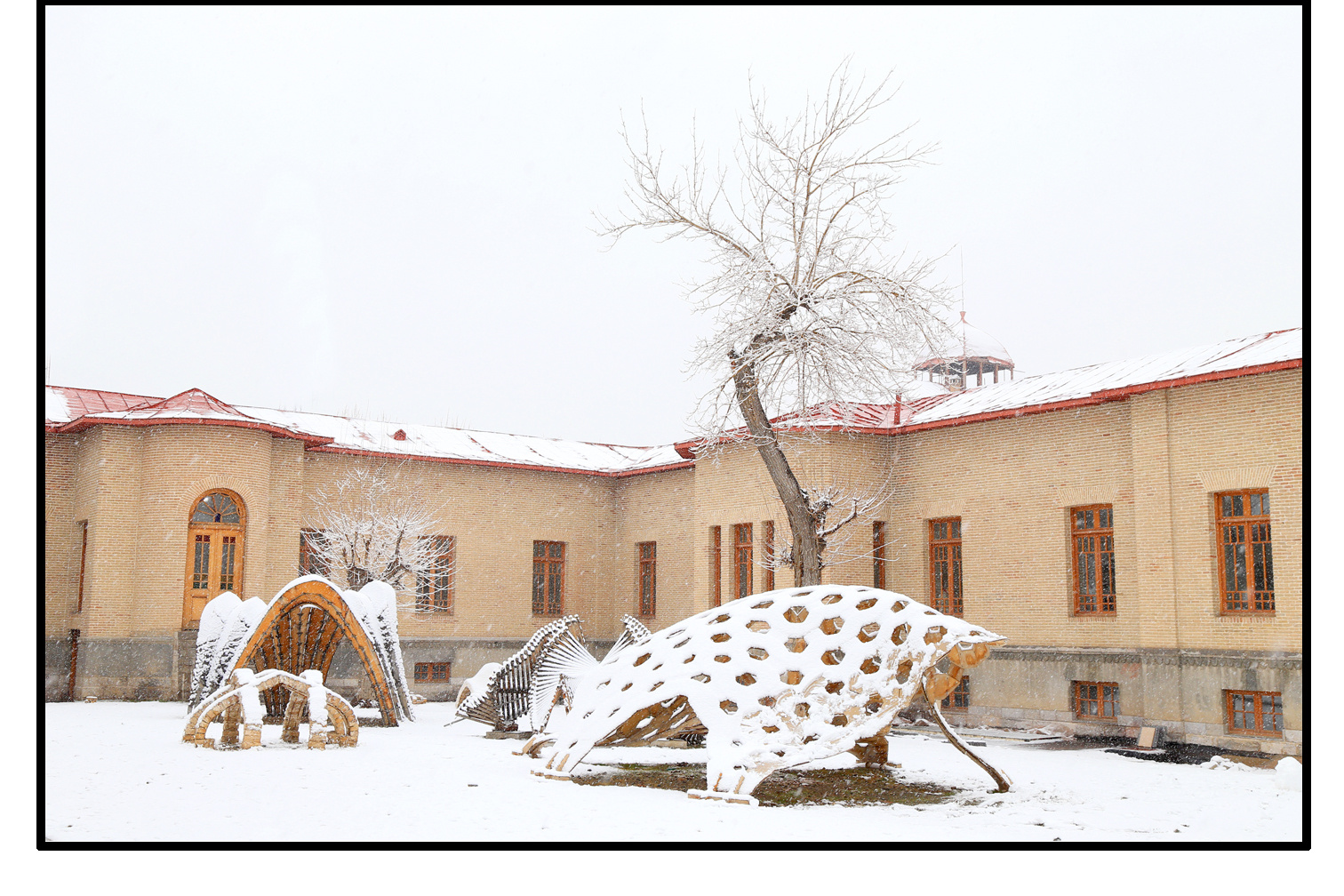 پردیس باغ ملی - دانشکده معماری و شهرسازی - حیاط غربی