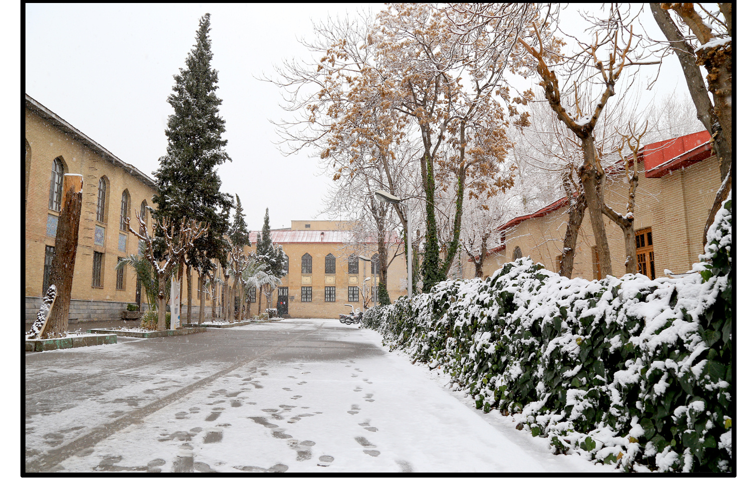 پردیس باغ ملی - معاونت پژوهش و فناوری