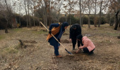 گزارش تصویری از کاشت نهال در پردیس کرج دانشگاه هنر ایران همزمان با فرا رسیدن روز درختکاری