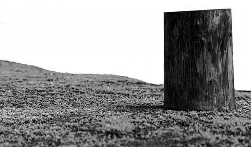 نمایشگاه عکس های عضو هیأت علمی دانشگاه هنر در نگارخانه آرته برگزار می شود